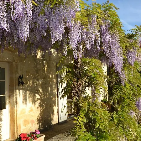Le Bonheur Dans Notre Pre Semesterbostad